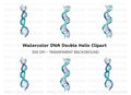 DNA Strand Clipart Bundle