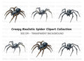 Realistic Spider Clipart Bundle