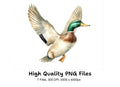 Flying Mallard Ducks Clipart Bundle