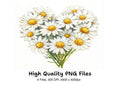 Daisy Flower Bouquets Clipart Bundle