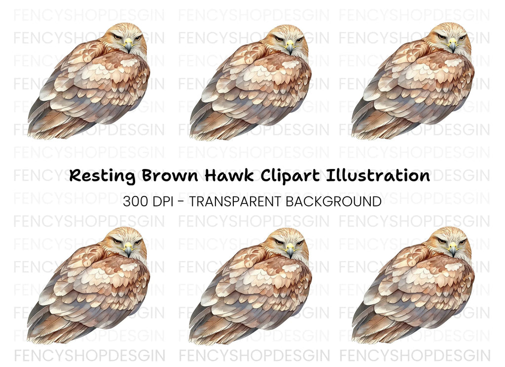 Fierce Hawk Illustration Clipart Bundle