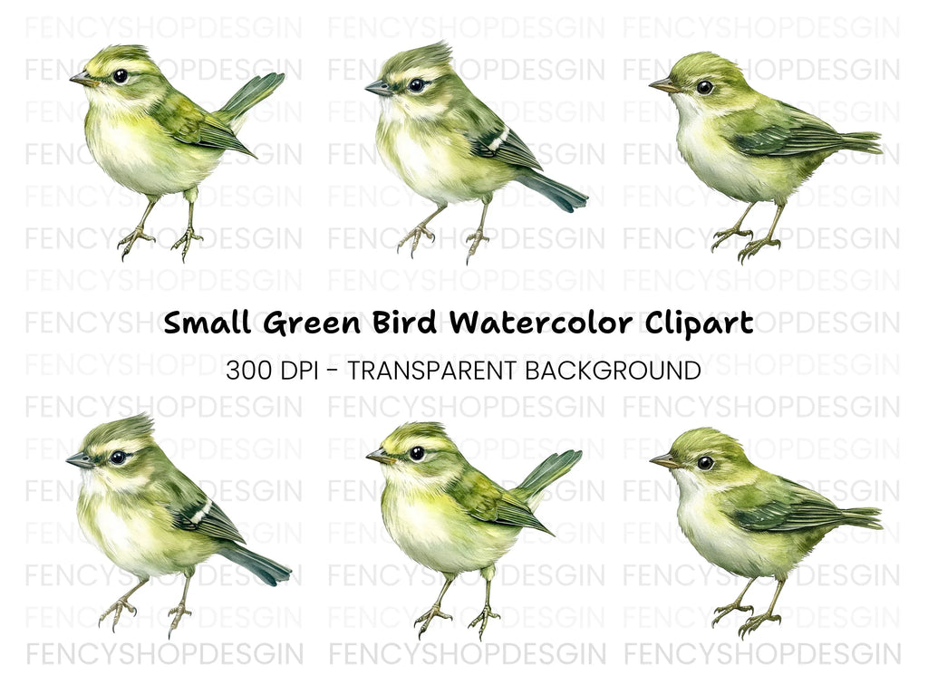 Little Green Bird Clipart Bundle