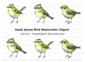 Little Green Bird Clipart Bundle