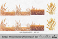 Golden Wheat Stalks Field Clipart Bundle