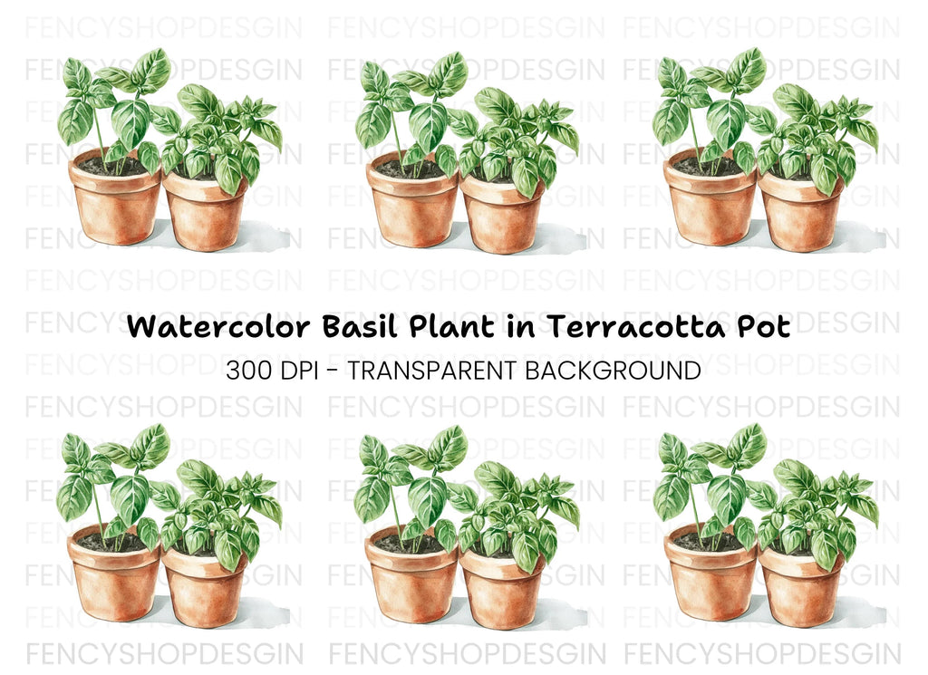 Fresh Basil Plants in Terracotta Pots Clipart Bundle