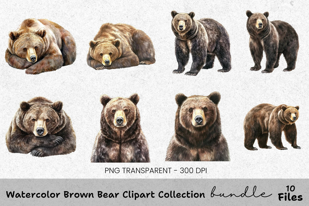 Brown Bear Clipart Bundle