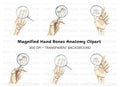 Hand Bones Magnified Clipart Bundle
