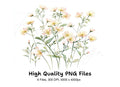 Wildflower Clipart Bundle