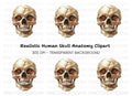 Human Skull Clipart Bundle