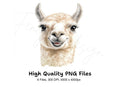 Cute Llama Faces Clipart Bundle