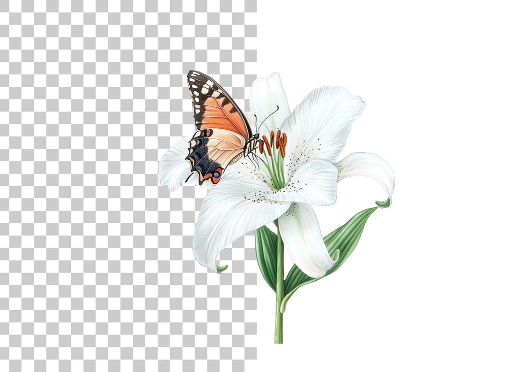 White Lily and Butterfly Clipart Bundle