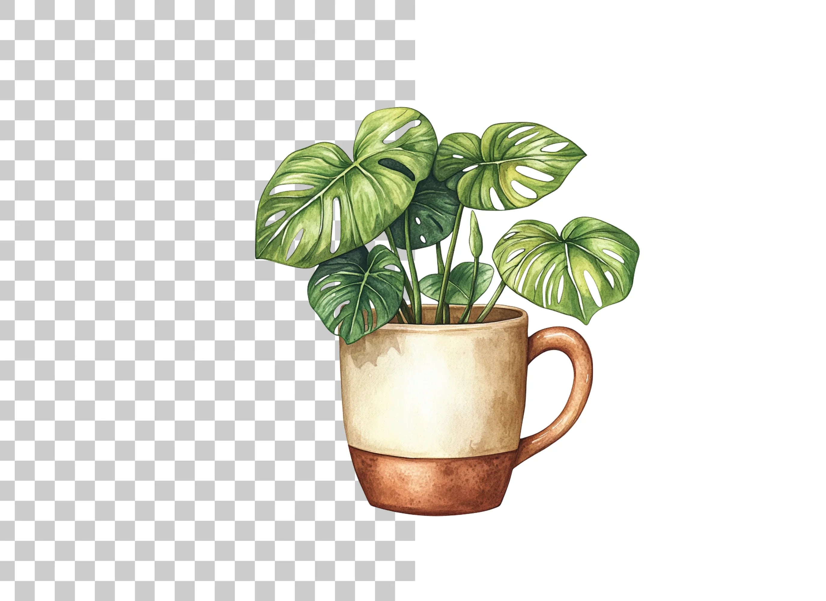 Monstera Plant Clipart Bundle