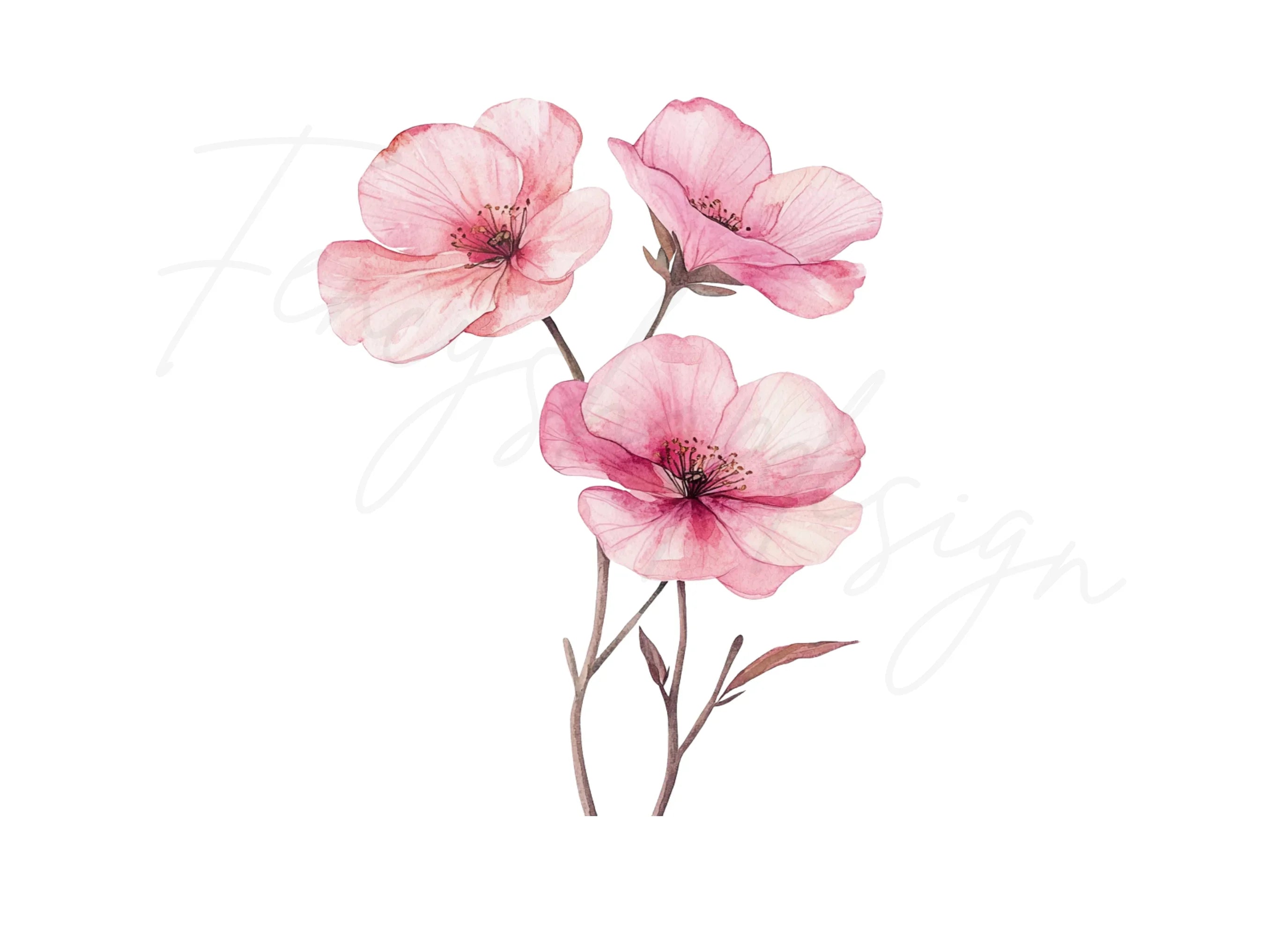 Pink Floral Clipart Bundle