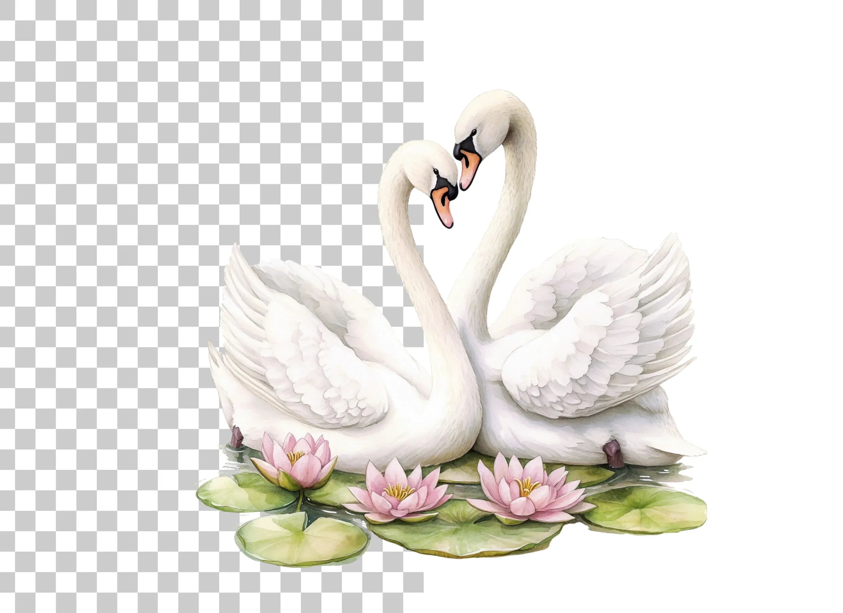 Romantic Swans with Water Lilies Clipart Bundle