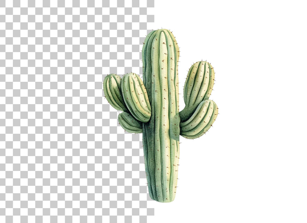 Saguaro Cactus Clipart Bundle