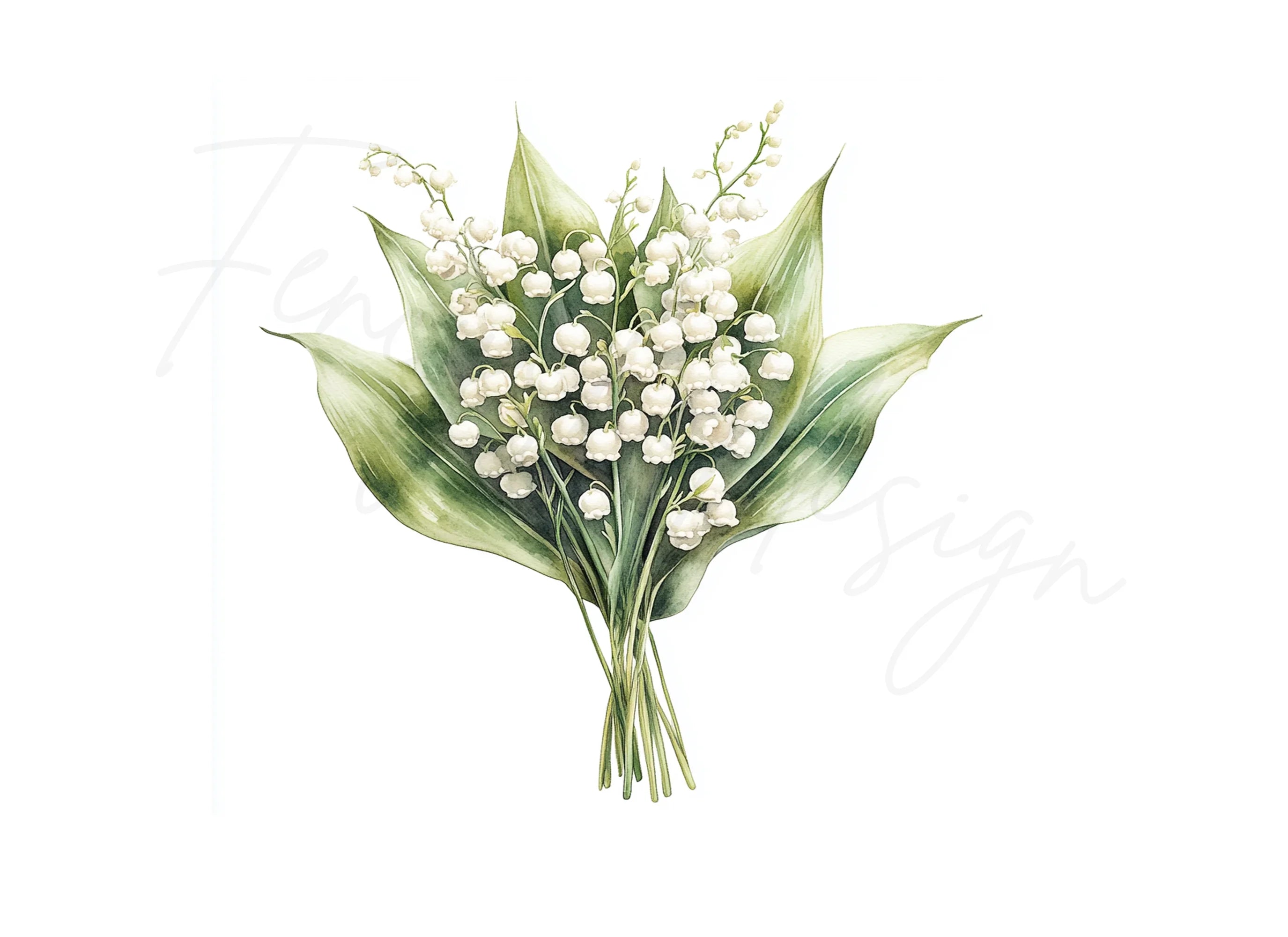 Lily of the Valley Clipart Bundle