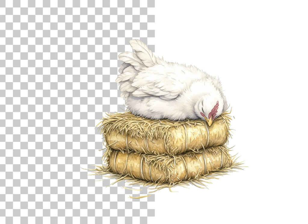Sleeping White Chickens on Hay Bales Clipart Bundle