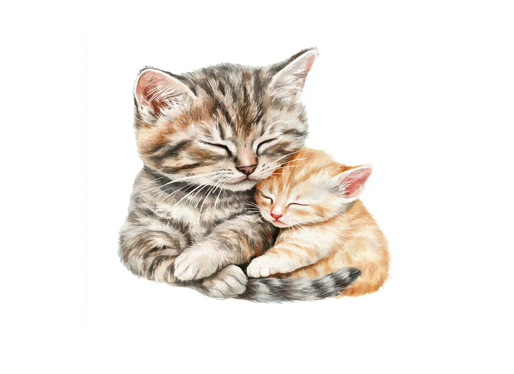 Cute Sleeping Kittens Clipart Bundle