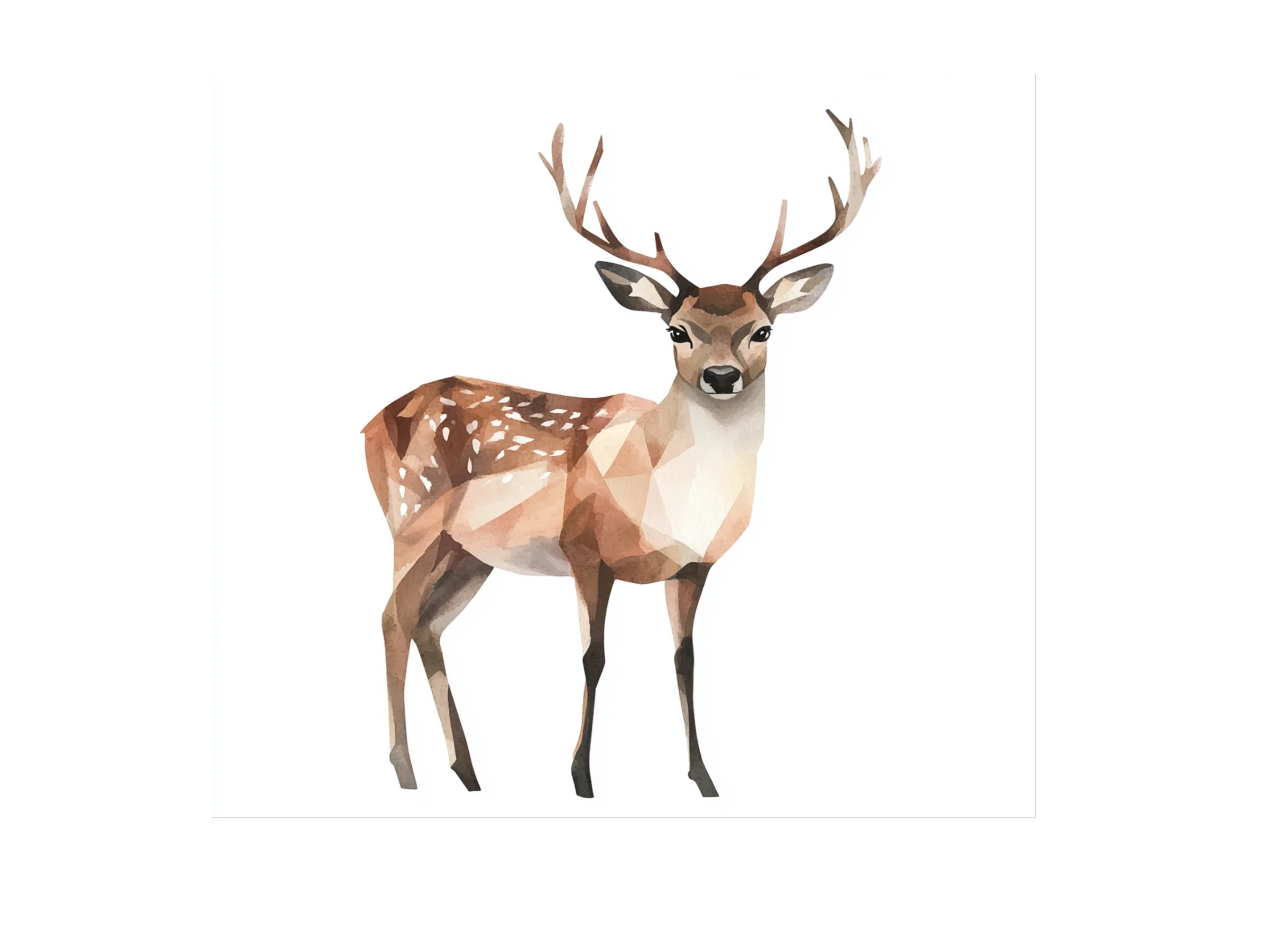 Polygonal Deer Illustrations Clipart Bundle