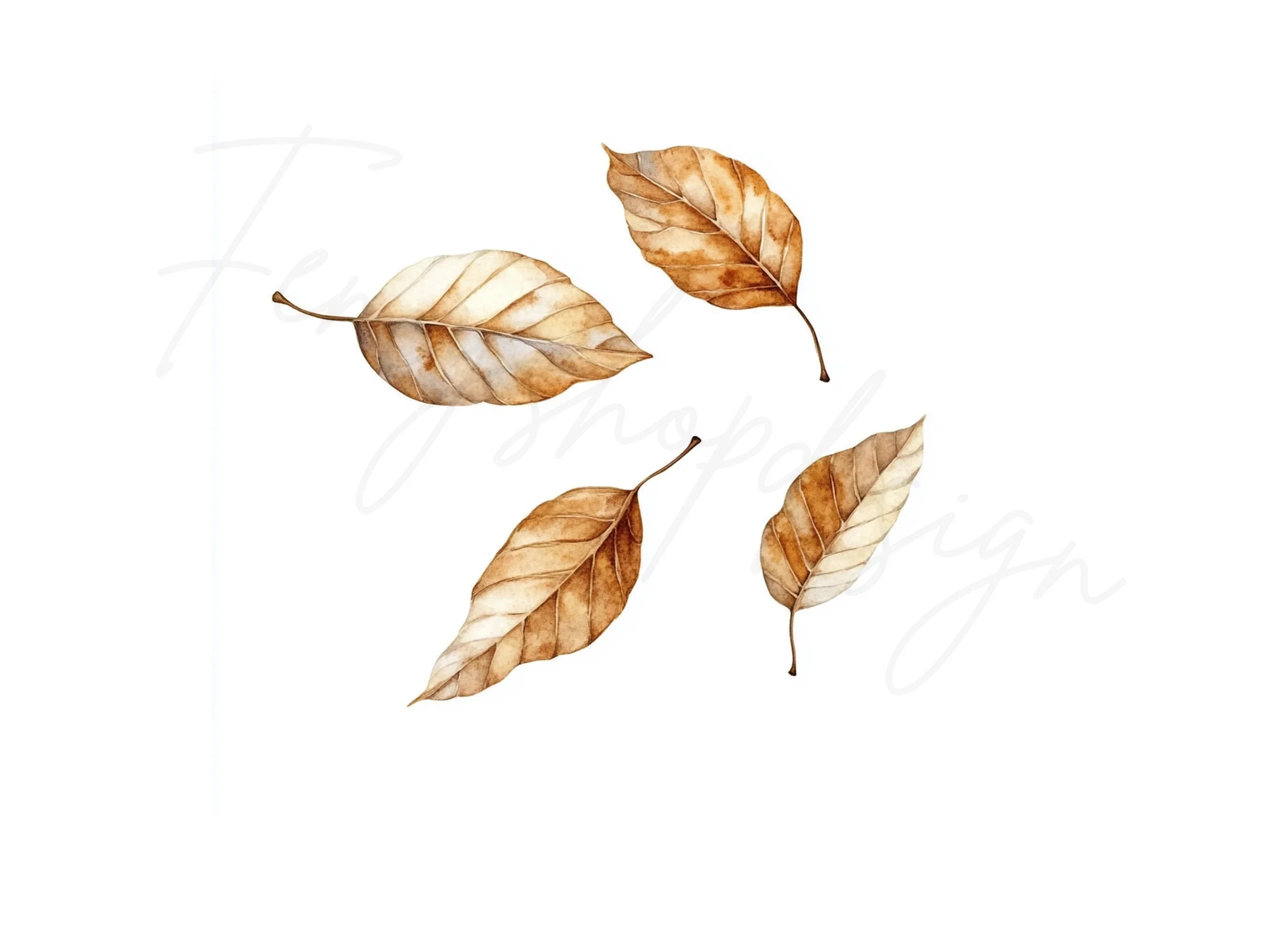 Falling Autumn Leaves Clipart Bundle