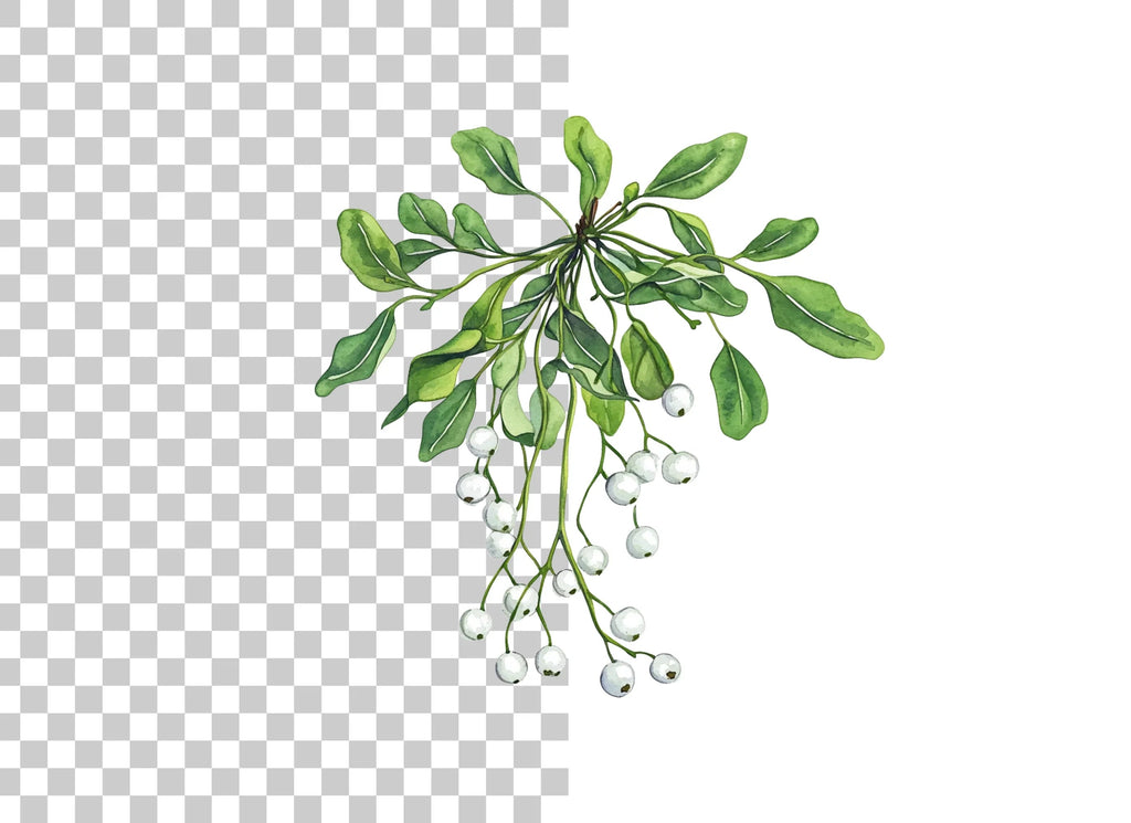 Mistletoe Sprigs Christmas Clipart Bundle