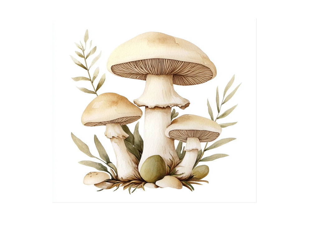 Mushroom Clipart Bundle