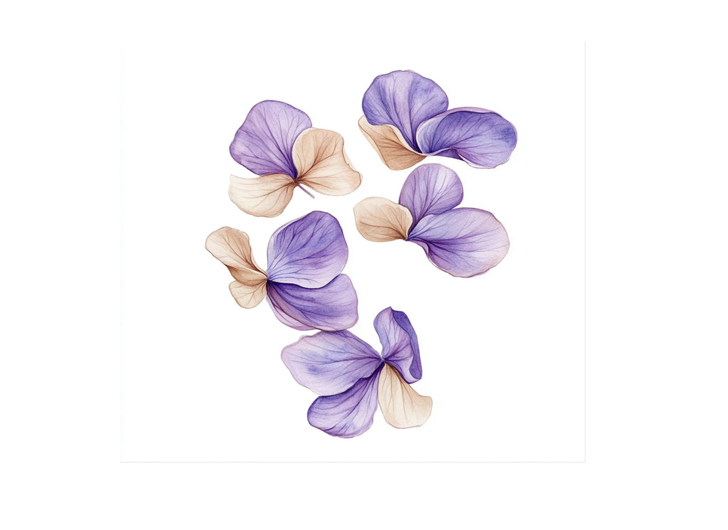 Purple Petals Clipart Bundle