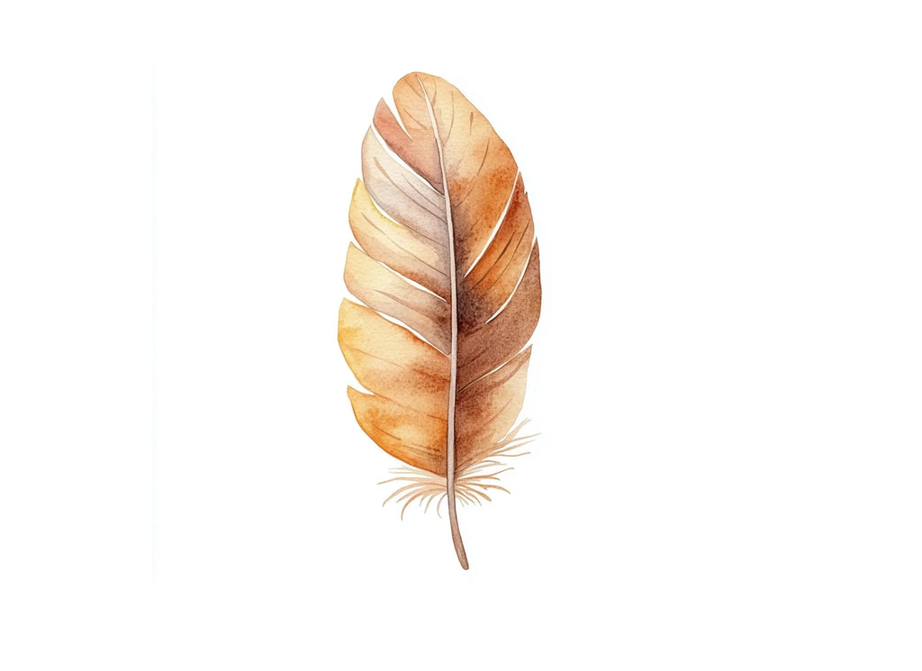 Boho Feather Clipart Bundle