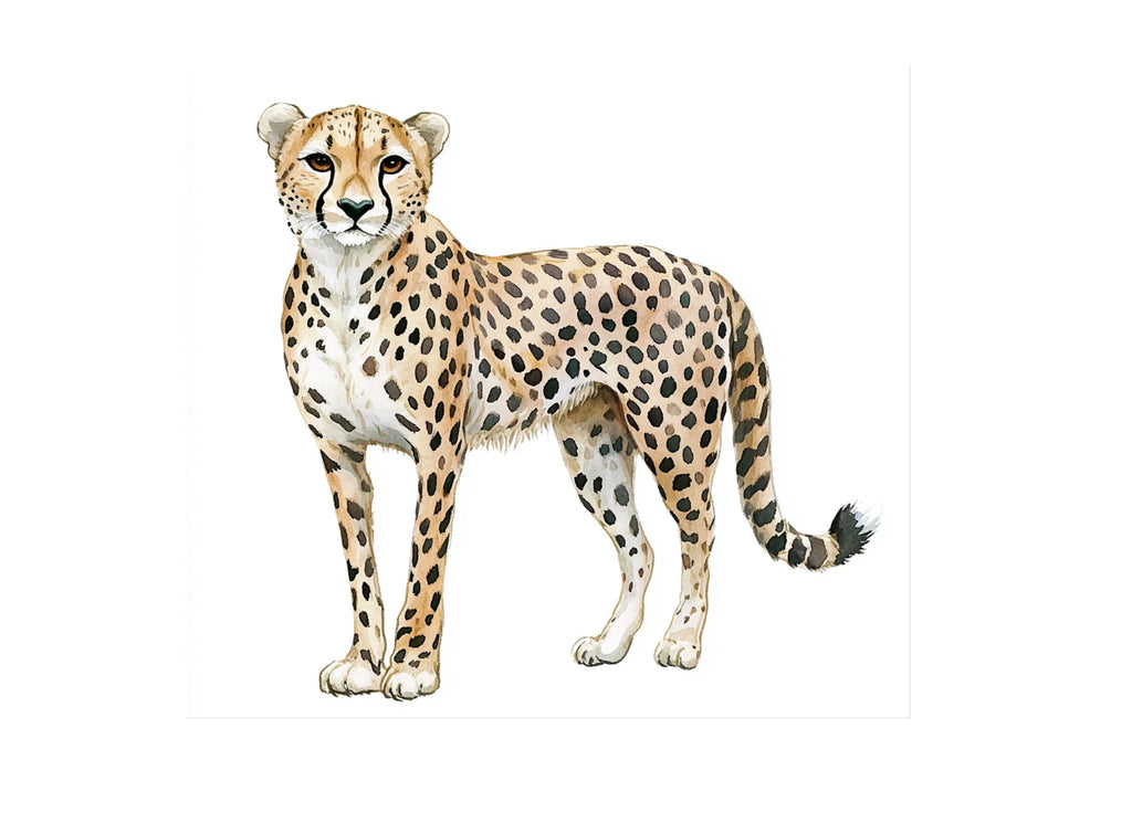 Leopard and Cheetah Clipart Bundle