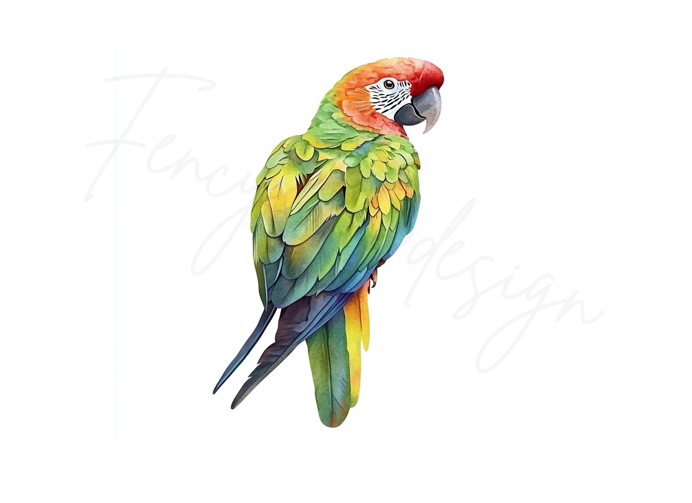 Vibrant Parrot Clipart Bundle