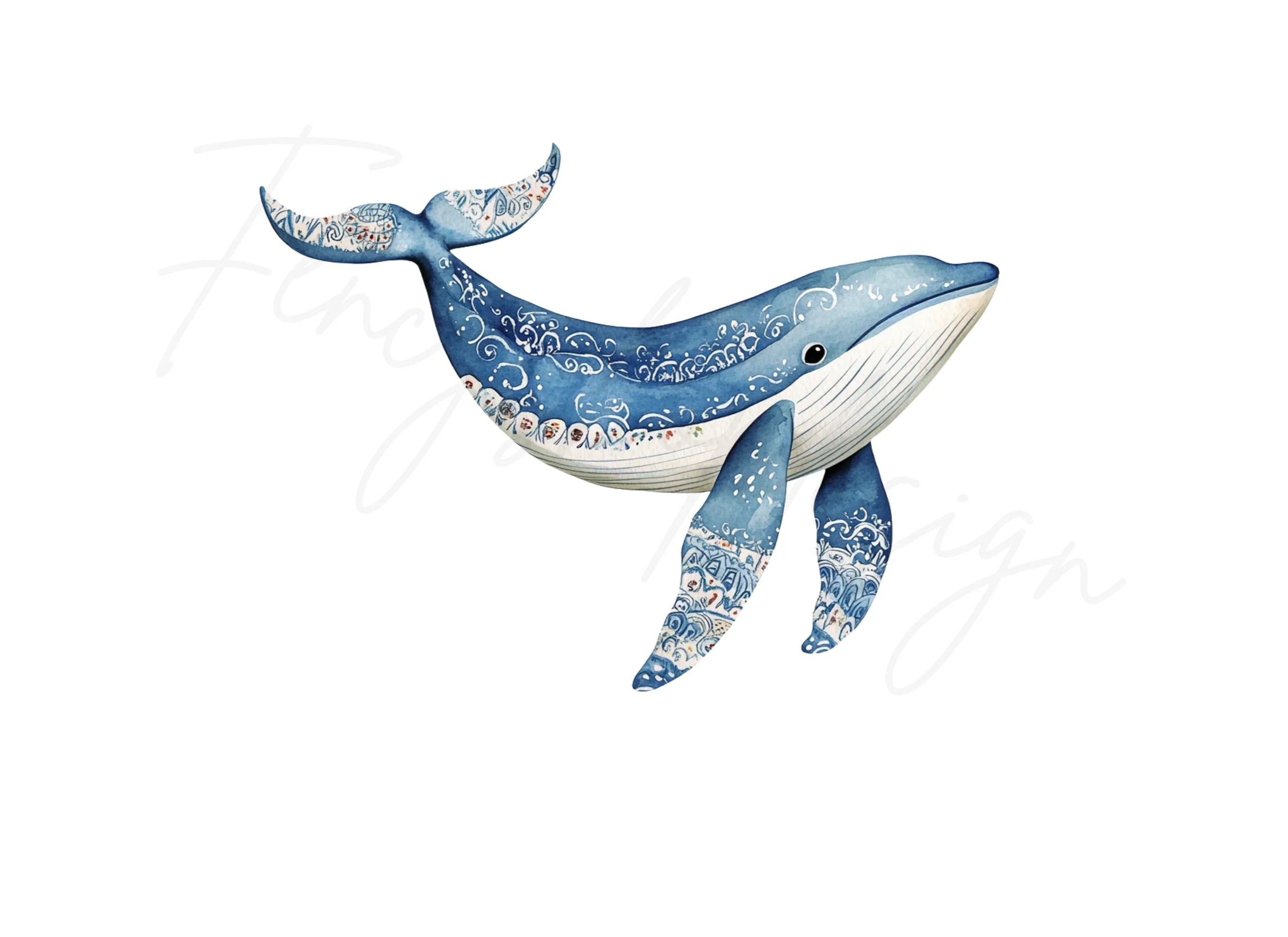 Whale Clipart Bundle