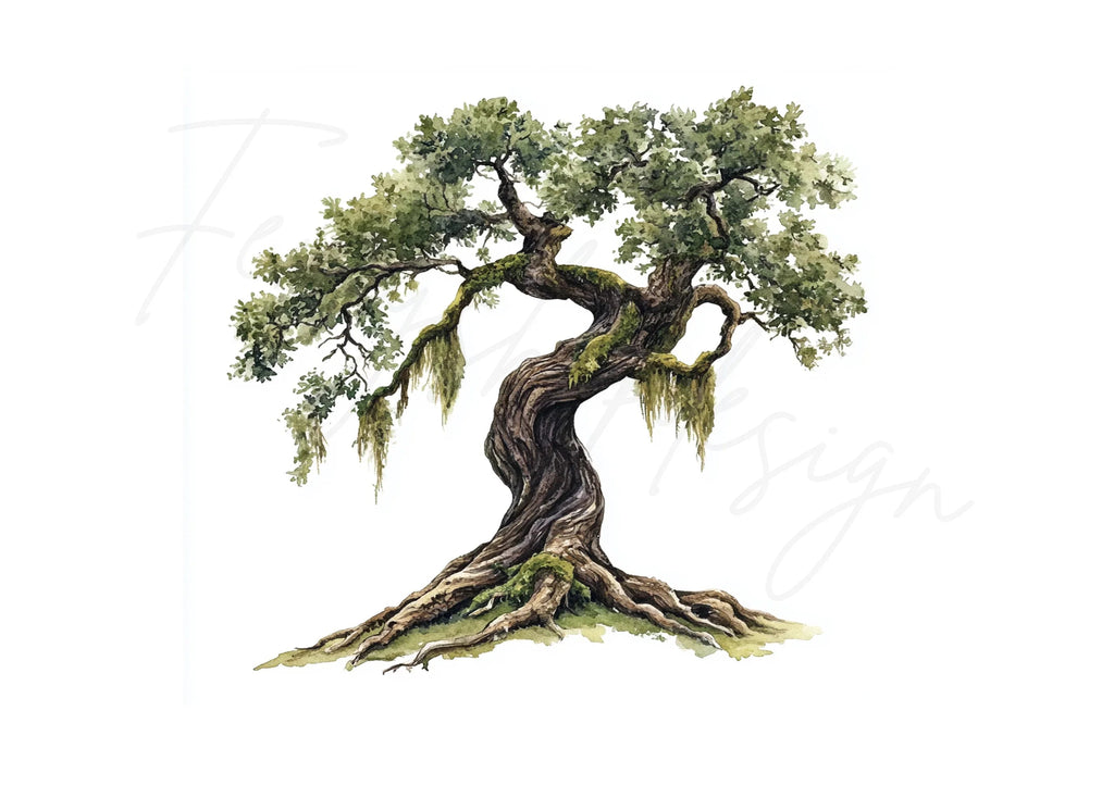 Ancient Oak Tree Clipart Bundle
