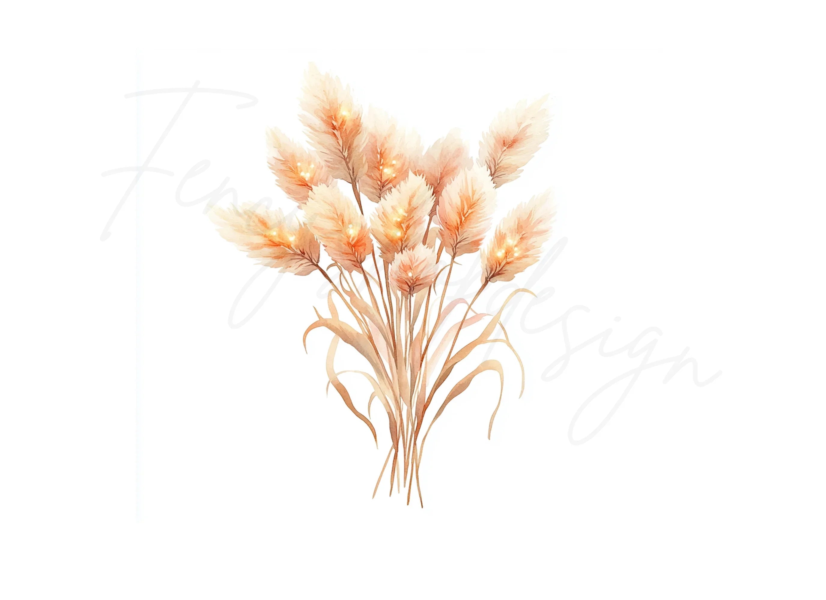 Pampas Grass Clipart Bundle