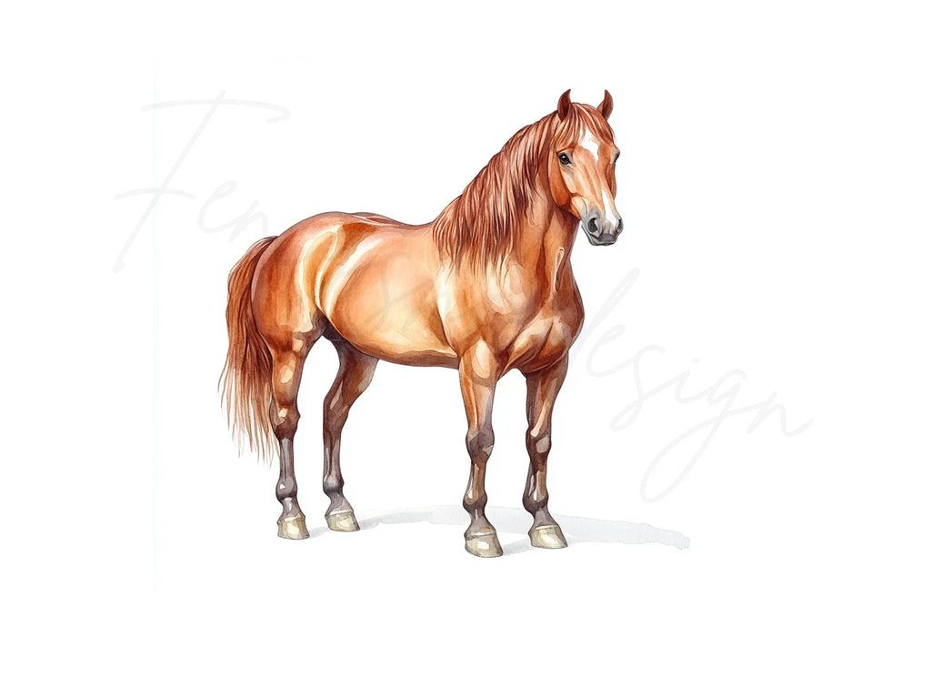 Horse Clipart Bundle
