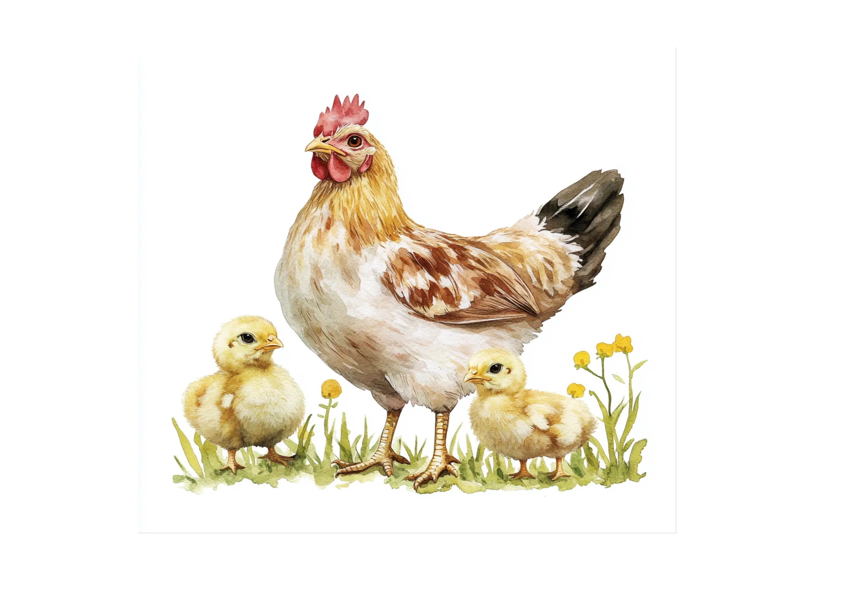 Hen and Chick Clipart Bundle