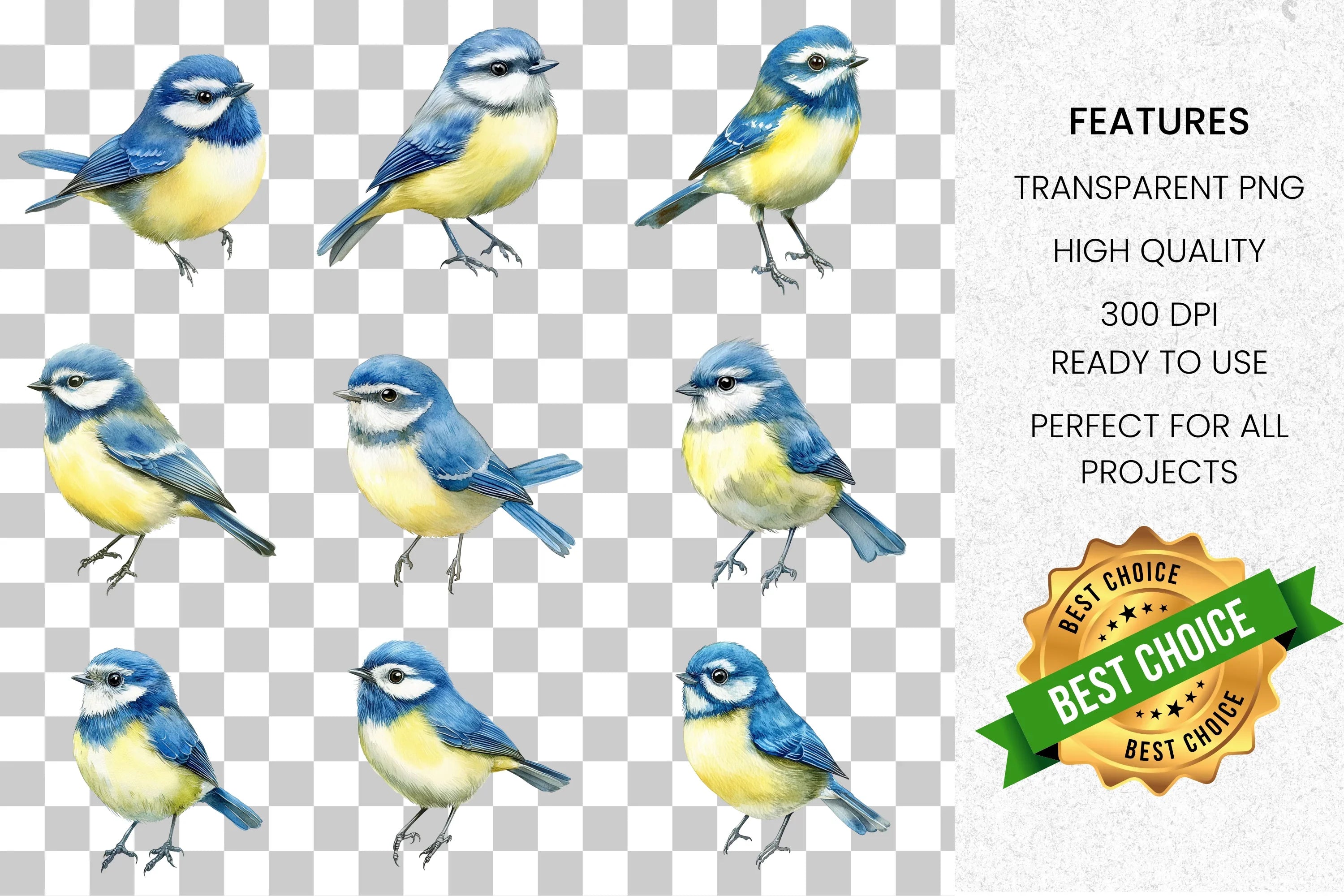 Charming Blue Tit Bird Clipart Bundle
