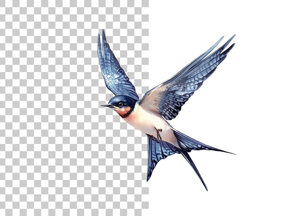Graceful Flying Swallow Clipart Bundle