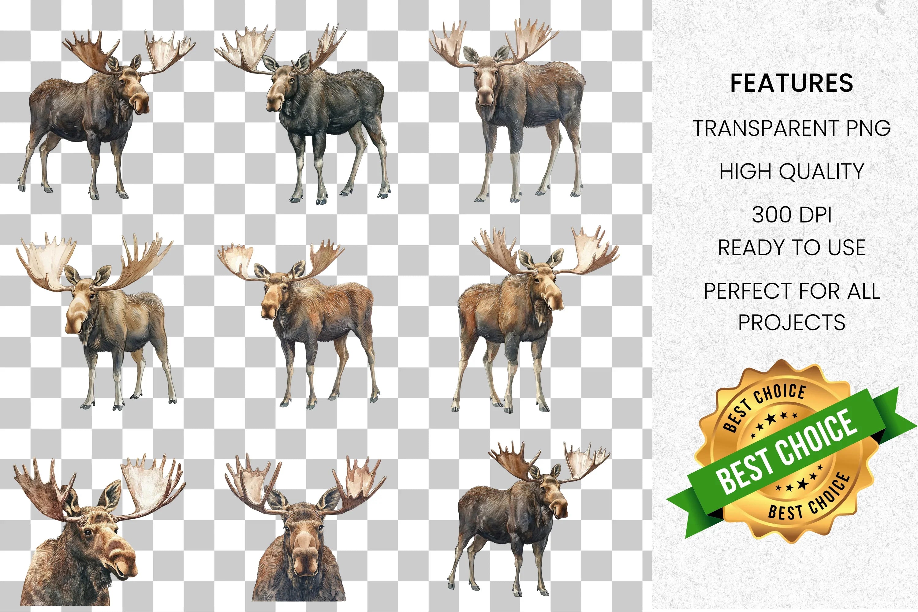 Majestic Moose Clipart Bundle