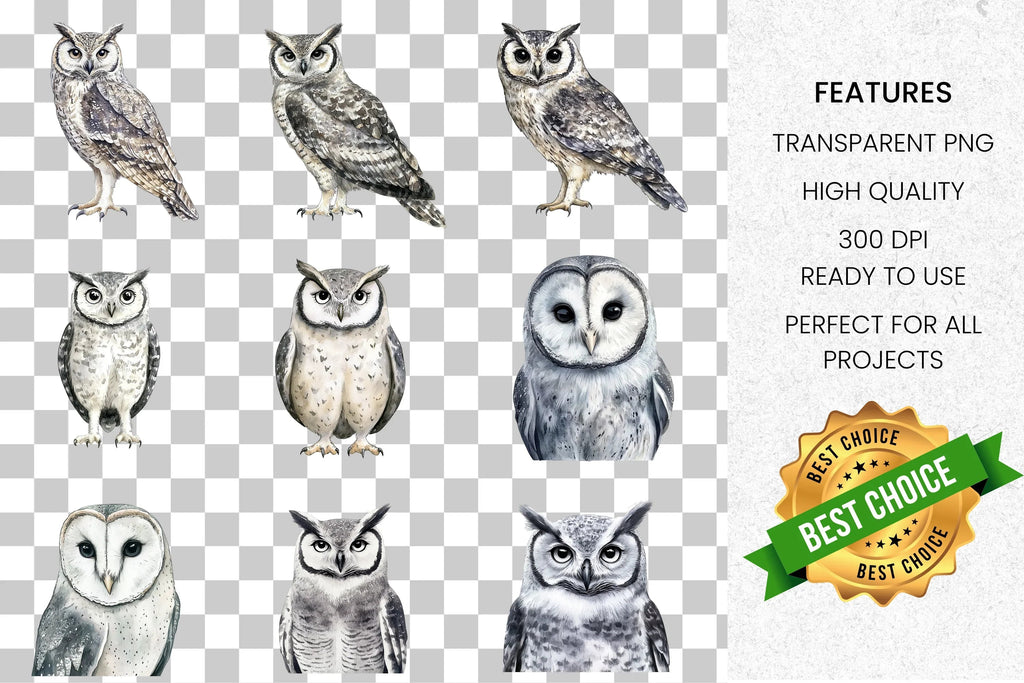 Cute Owl Clipart Bundle