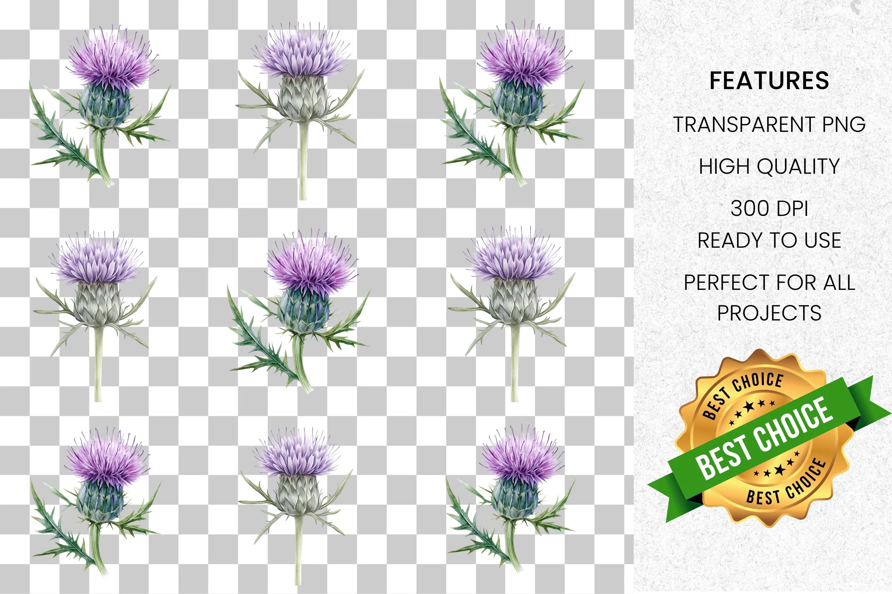 Thistle Flower Clipart Bundle