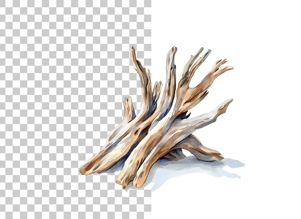 Driftwood Pile Clipart Bundle