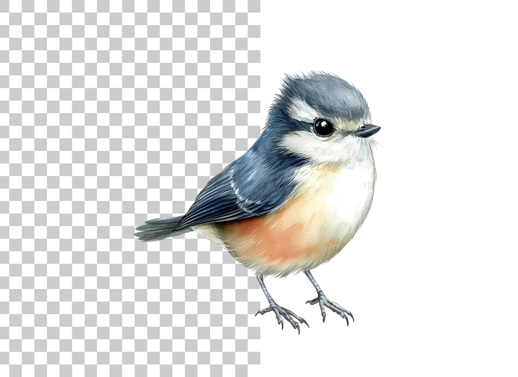 Adorable Blue and Orange Bird Clipart Bundle