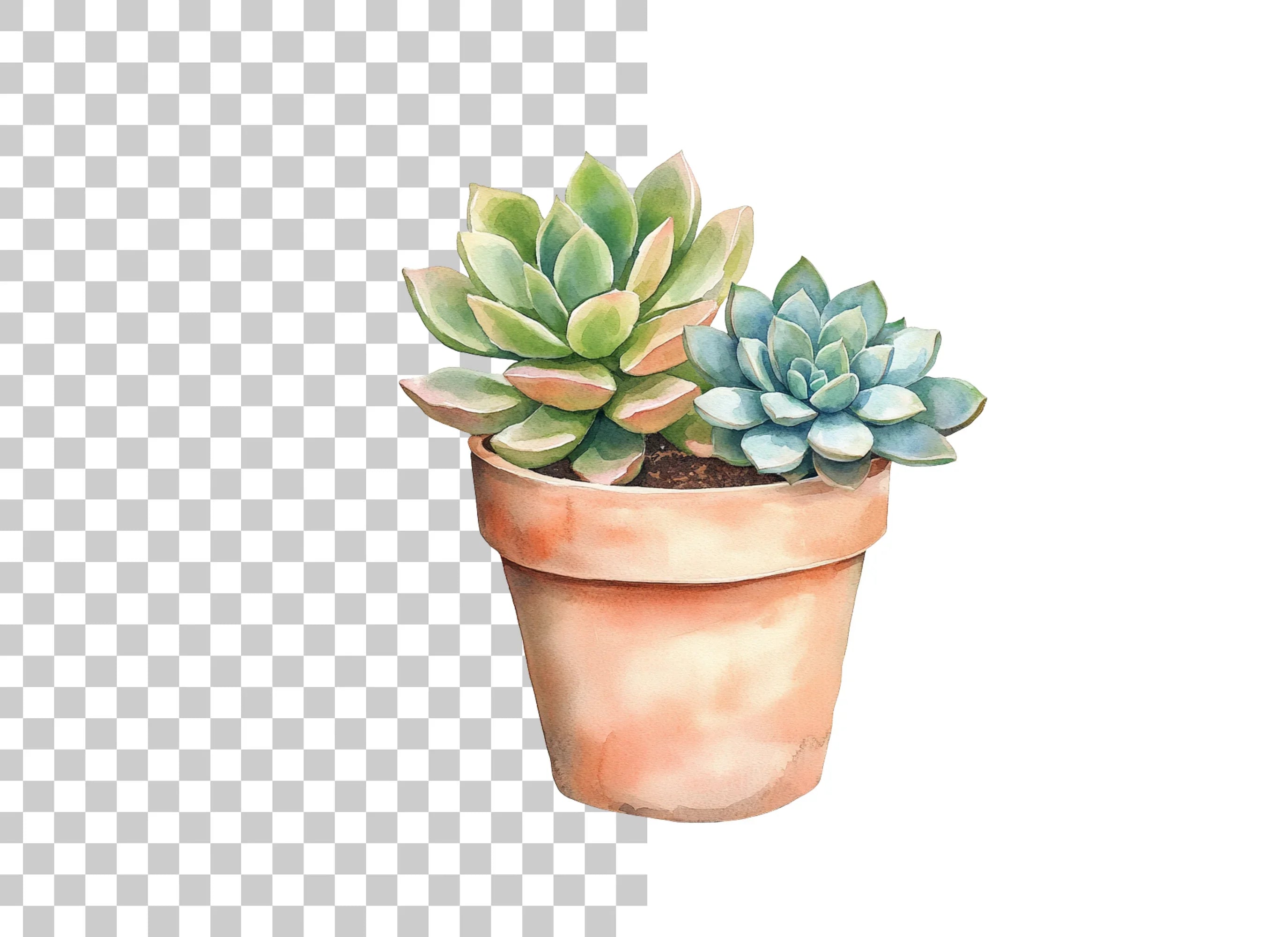 Succulent Plants Clipart Bundle