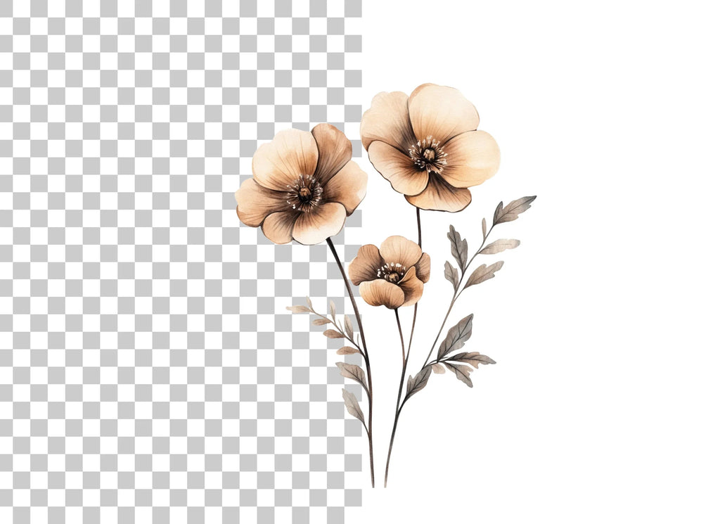 Sepia Flowers Bouquet Clipart Bundle