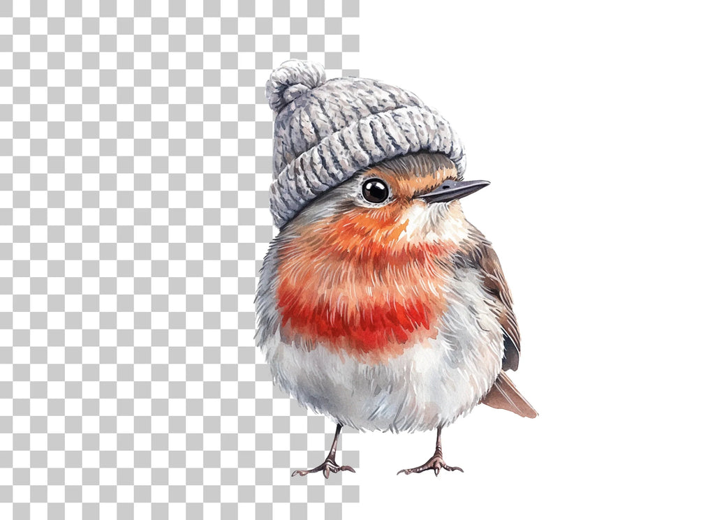 Charming Robin with Beanie Clipart Bundle