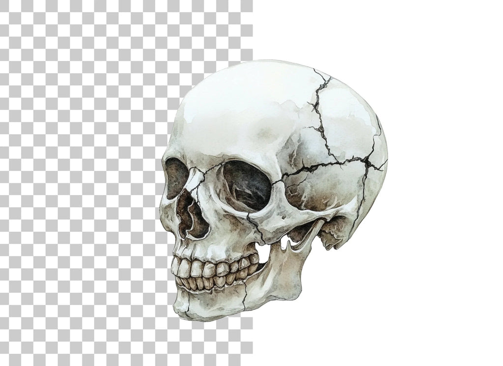 Cracked Skull Side View Clipart Bundle