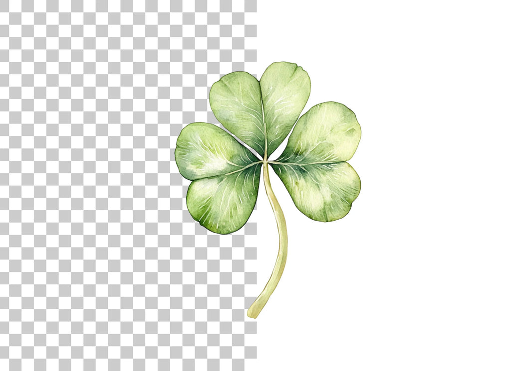 Hand Painted Clover Leaf Illustrations Clipart Bundle