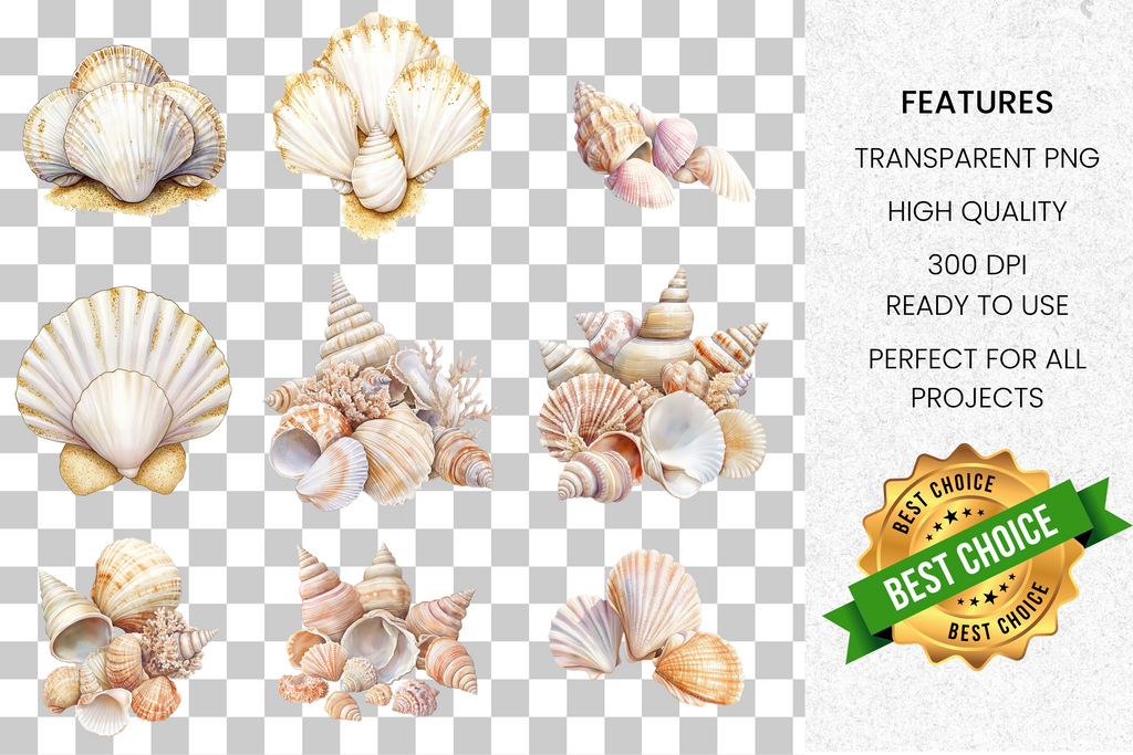 Seashell Clipart Bundle
