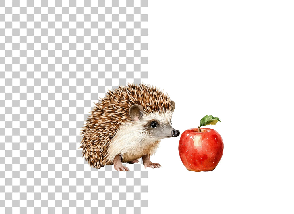 Cute Hedgehog with Apple Clipart Bundle