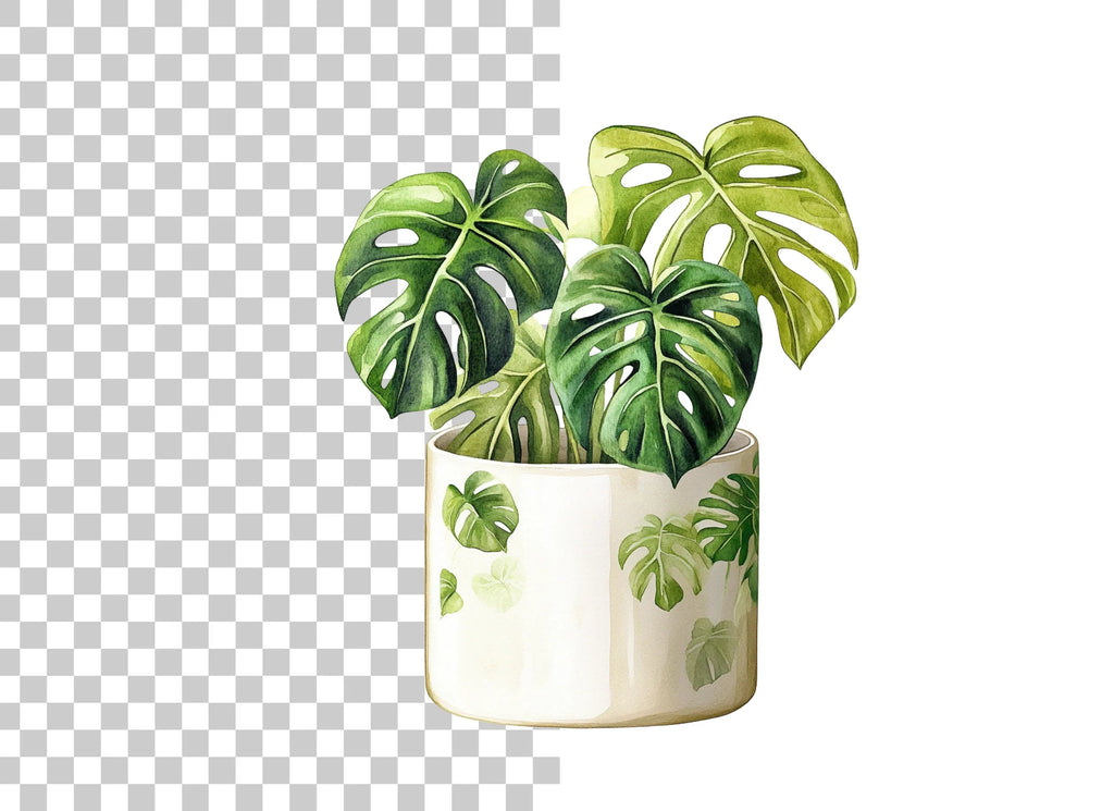 Monstera Plant Clipart Bundle